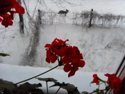 SDC17792s.jpg