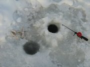 IMG_1138.JPG