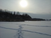 IMG_1144.JPG