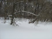 IMG_1148.JPG