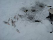 IMG_1155.JPG