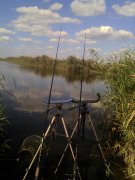 IMG_20120919_123621.jpg