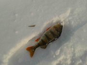 2012-12-25 12.00.38.jpg
