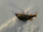 2012-12-25 12.00.24.jpg