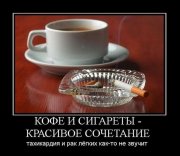 0_502a5_bf019a3c_XL.jpeg