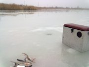 27122012612.jpg