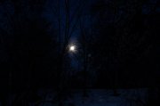 DSC_0011.jpg