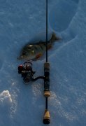 DSC_0036.jpg