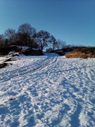 IMAG0815.jpg