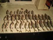 IMG_0996.JPG