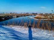 IMAG0828.jpg