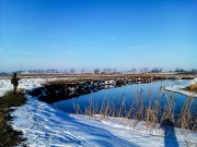 IMAG0827.jpg