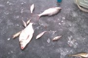 IMAG0376.jpg
