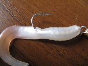 IMG_0318.jpg