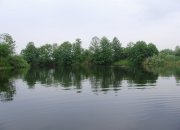 P6140026.JPG