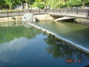 DSC02380.JPG