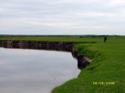 SS851586.JPG