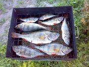 050620081135.jpg