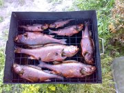 050620081136.jpg