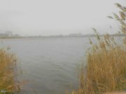 там крепатурка.jpg