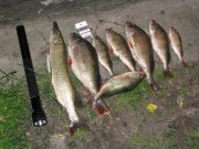 IMG_0366.jpg