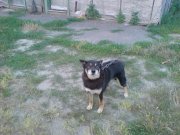 DSC00035.JPG