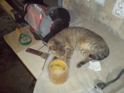 DSC00108.JPG