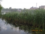 IMG_0094.jpg