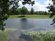 IMG_0336.jpg