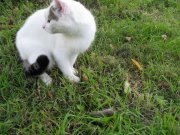 IMG_0348.jpg