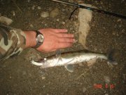 DSC0245_.jpg