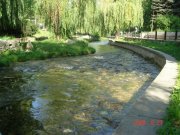 DSC02467.jpg