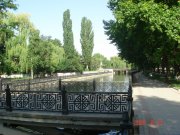 DSC02473.jpg
