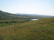 IMG_0672.jpg