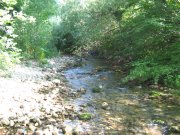 IMG_0673.jpg