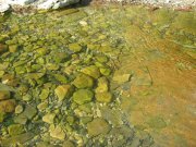 IMG_0680.jpg