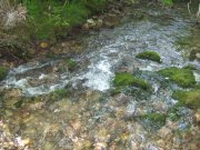 IMG_0674.jpg