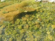IMG_0679.jpg