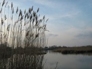 IMG_0052.jpg