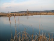 IMG_0054.jpg