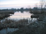 IMG_0060.jpg