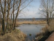IMG_0041.jpg