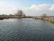 IMG_0050.jpg