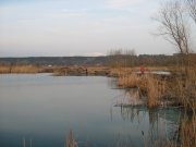 IMG_0053.jpg