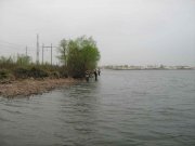 IMG_0190.jpg