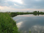IMG_0471.jpg