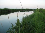 IMG_0472.jpg