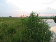 IMG_0473.jpg