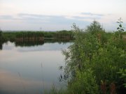 IMG_0474.jpg