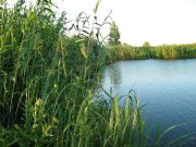IMG_0590.jpg